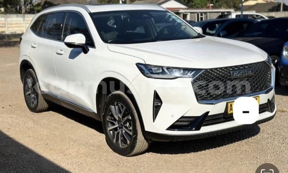 Nunua Ilio tumika Haval H6 Nyeupe Gari ndani ya Harare nchini Harare