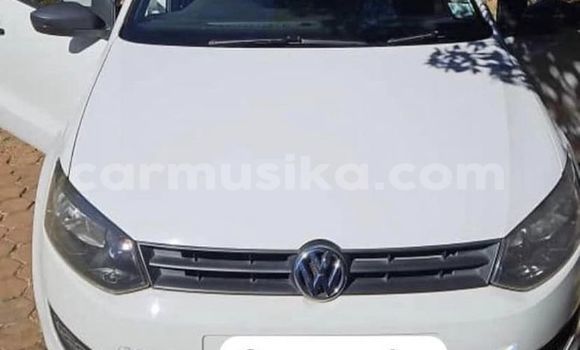 Buy Used Volkswagen Polo White Car in Harare in Harare