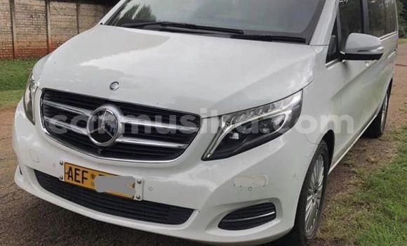 Tenga Tsaru Mercedes‒Benz V-klasse Chena Mota in Harare in Harare