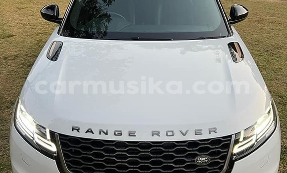 Nunua Ilio tumika Range Rover Range Rover Nyeupe Gari ndani ya Harare nchini Harare Nunua Ilio tumika Range Rover Range Rover Nyeupe Gari ndani ya Harare nchini Harare