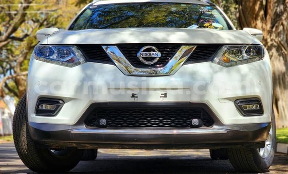 Tenga Tsaru Nissan XâTrail Chena Mota in Harare in Harare Tenga Tsaru Nissan XâTrail Chena Mota in Harare in Harare