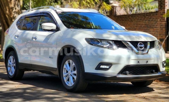 Tenga Tsaru Nissan XâTrail Chena Mota in Harare in Harare Tenga Tsaru Nissan XâTrail Chena Mota in Harare in Harare