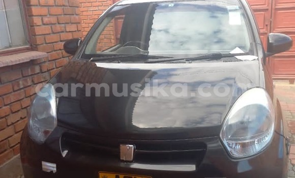 Buy Used Toyota Passo Black Car in Harare in Harare