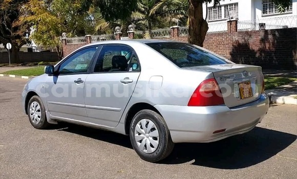 Buy Used Toyota Corolla Other Car in Harare in Harare