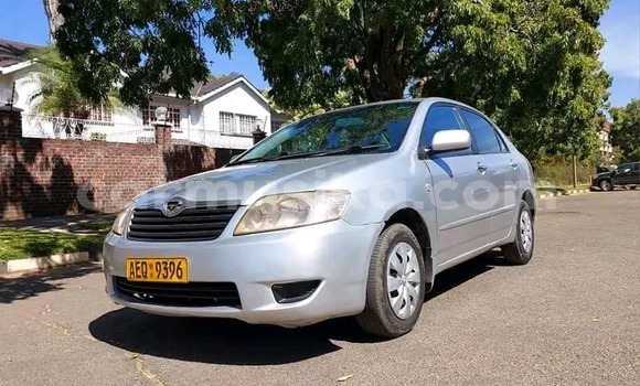 Tenga Tsaru Toyota Corolla Zvimwe Mota in Harare in Harare Tenga Tsaru Toyota Corolla Zvimwe Mota in Harare in Harare
