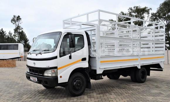 Buy Used Toyota Dyna White Truck in Beitbridge in Matabeleland South