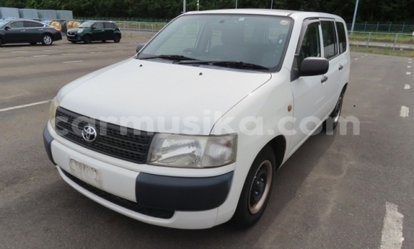 Buy Used Toyota Probox White Car in Beitbridge in Matabeleland South