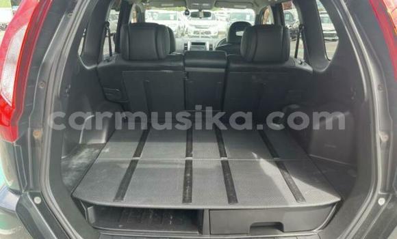 Buy Used Nissan X–Trail Black Car in Beitbridge in Matabeleland South Buy Used Nissan X–Trail Black Car in Beitbridge in Matabeleland South