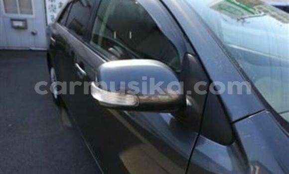 Tenga Tsaru Toyota Allion Beige Mota in Bulawayo in Bulawayo Tenga Tsaru Toyota Allion Beige Mota in Bulawayo in Bulawayo