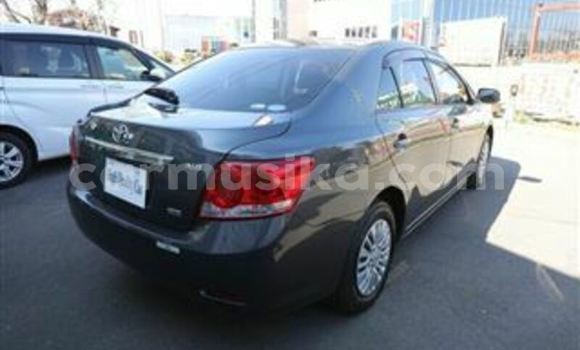 Tenga Tsaru Toyota Allion Beige Mota in Bulawayo in Bulawayo Tenga Tsaru Toyota Allion Beige Mota in Bulawayo in Bulawayo