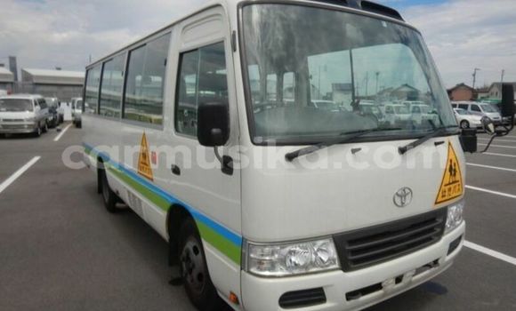 Buy Used Toyota Coaster White Car in Beitbridge in Matabeleland South