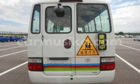 Buy Used Toyota Coaster White Car in Beitbridge in Matabeleland South Buy Used Toyota Coaster White Car in Beitbridge in Matabeleland South