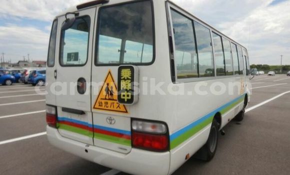 Buy Used Toyota Coaster White Car in Beitbridge in Matabeleland South Buy Used Toyota Coaster White Car in Beitbridge in Matabeleland South