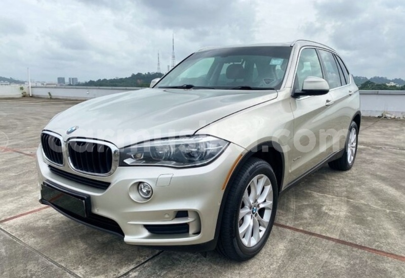 Big with watermark bmw x5 matabeleland south beitbridge 33594