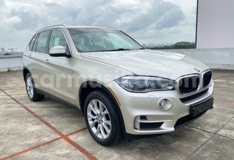 Big with watermark bmw x5 matabeleland south beitbridge 33594