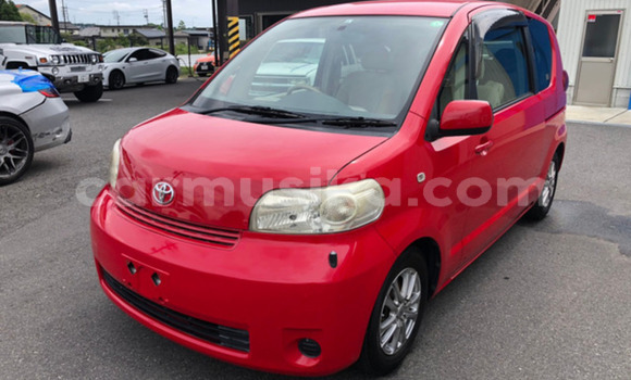 Tenga Tsaru Toyota Porte Tsvuku Mota in Beitbridge in Matabeleland South