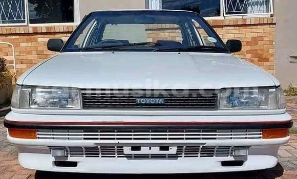 Buy Used Toyota Corolla White Car in Beitbridge in Matabeleland South Buy Used Toyota Corolla White Car in Beitbridge in Matabeleland South