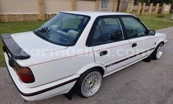Buy Used Toyota Corolla White Car in Beitbridge in Matabeleland South Buy Used Toyota Corolla White Car in Beitbridge in Matabeleland South