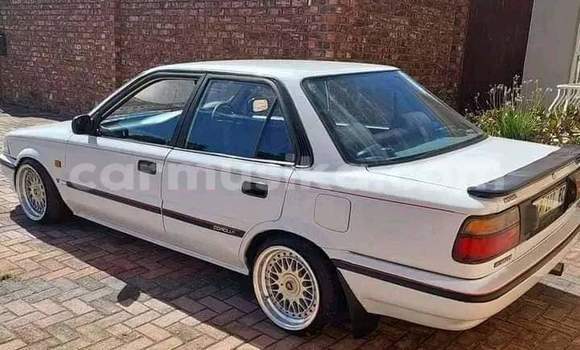 Buy Used Toyota Corolla White Car in Beitbridge in Matabeleland South Buy Used Toyota Corolla White Car in Beitbridge in Matabeleland South