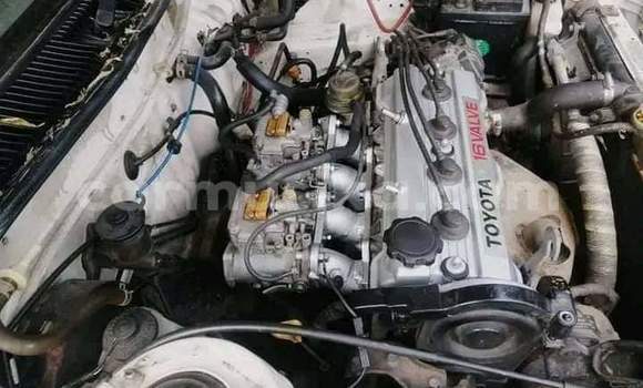 Buy Used Toyota Corolla White Car in Beitbridge in Matabeleland South Buy Used Toyota Corolla White Car in Beitbridge in Matabeleland South