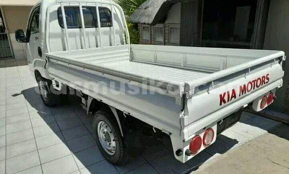 Acheter Occasion Utilitaire Kia K2700 Blanc à Beitbridge, Matabeleland South Acheter Occasion Utilitaire Kia K2700 Blanc à Beitbridge, Matabeleland South