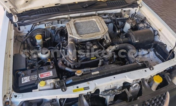 Buy Used Nissan Hardbody White Car in Beitbridge in Matabeleland South Buy Used Nissan Hardbody White Car in Beitbridge in Matabeleland South