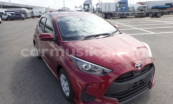 Acheter Occasion Voiture Toyota Yaris Beige à Beitbridge, Matabeleland South