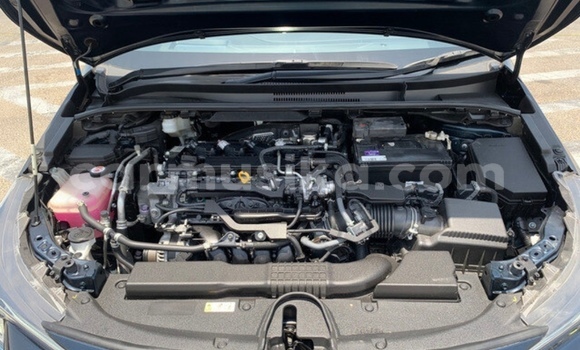 Acheter Occasion Voiture Toyota Corolla Bleu à Beitbridge, Matabeleland South Acheter Occasion Voiture Toyota Corolla Bleu à Beitbridge, Matabeleland South