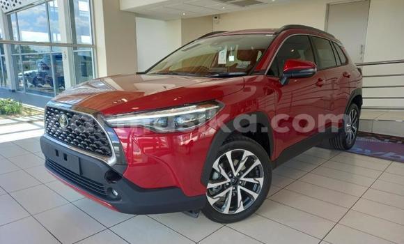 Buy Used Toyota Corolla Cross Red Car in Beitbridge in Matabeleland South Buy Used Toyota Corolla Cross Red Car in Beitbridge in Matabeleland South