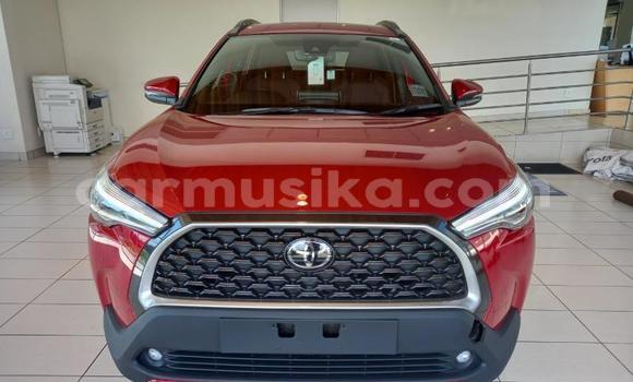 Acheter Occasion Voiture Toyota Corolla Cross Rouge à Beitbridge, Matabeleland South Acheter Occasion Voiture Toyota Corolla Cross Rouge à Beitbridge, Matabeleland South