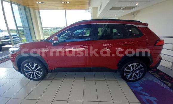 Acheter Occasion Voiture Toyota Corolla Cross Rouge à Beitbridge, Matabeleland South Acheter Occasion Voiture Toyota Corolla Cross Rouge à Beitbridge, Matabeleland South