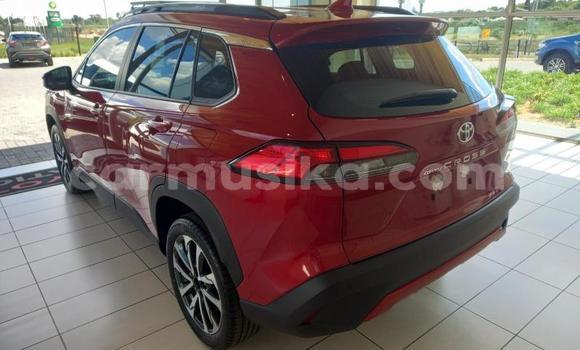 Acheter Occasion Voiture Toyota Corolla Cross Rouge à Beitbridge, Matabeleland South Acheter Occasion Voiture Toyota Corolla Cross Rouge à Beitbridge, Matabeleland South