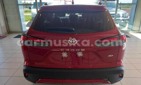 Acheter Occasion Voiture Toyota Corolla Cross Rouge à Beitbridge, Matabeleland South Acheter Occasion Voiture Toyota Corolla Cross Rouge à Beitbridge, Matabeleland South