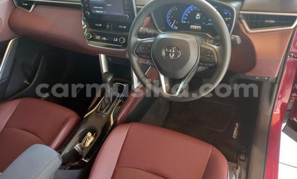 Acheter Occasion Voiture Toyota Corolla Cross Rouge à Beitbridge, Matabeleland South Acheter Occasion Voiture Toyota Corolla Cross Rouge à Beitbridge, Matabeleland South