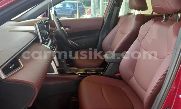 Acheter Occasion Voiture Toyota Corolla Cross Rouge à Beitbridge, Matabeleland South Acheter Occasion Voiture Toyota Corolla Cross Rouge à Beitbridge, Matabeleland South