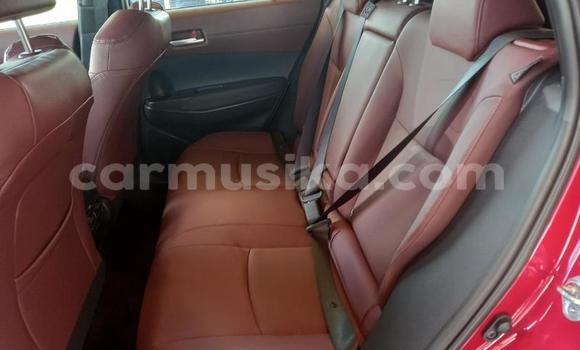 Acheter Occasion Voiture Toyota Corolla Cross Rouge à Beitbridge, Matabeleland South Acheter Occasion Voiture Toyota Corolla Cross Rouge à Beitbridge, Matabeleland South