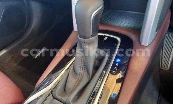 Acheter Occasion Voiture Toyota Corolla Cross Rouge à Beitbridge, Matabeleland South Acheter Occasion Voiture Toyota Corolla Cross Rouge à Beitbridge, Matabeleland South