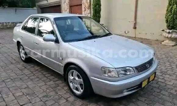 Buy Used Toyota Corolla Silver Car in Masvingo in Masvingo