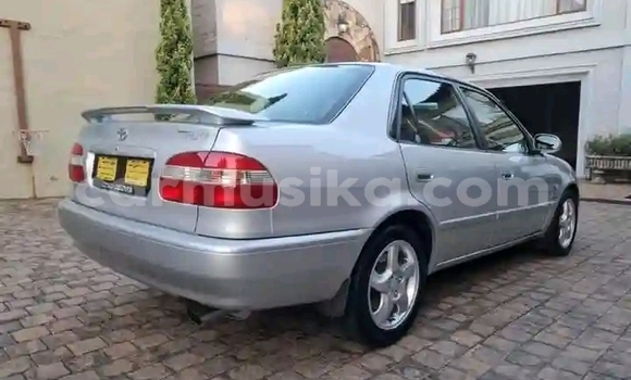 Acheter Occasion Voiture Toyota Corolla Gris à Masvingo, Masvingo Acheter Occasion Voiture Toyota Corolla Gris à Masvingo, Masvingo