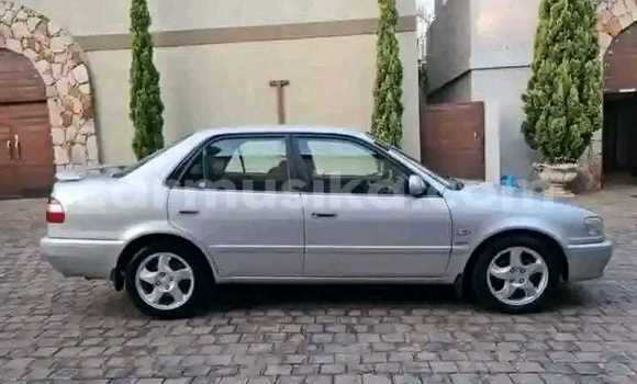 Acheter Occasion Voiture Toyota Corolla Gris à Masvingo, Masvingo Acheter Occasion Voiture Toyota Corolla Gris à Masvingo, Masvingo