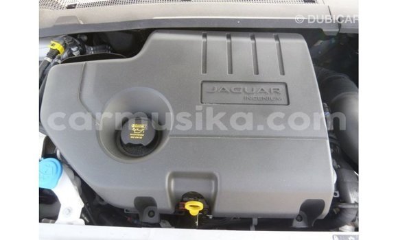 Nunua Imported Jaguar E-Pace Nyeupe Gari ndani ya Import - Dubai nchini Harare Nunua Imported Jaguar E-Pace Nyeupe Gari ndani ya Import - Dubai nchini Harare