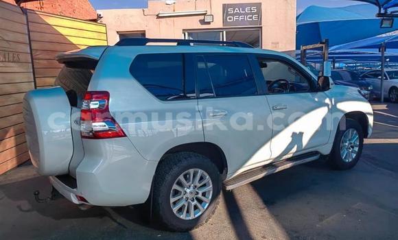 Acheter Occasion Voiture Toyota Land Cruiser Prado Blanc à Beitbridge, Matabeleland South Acheter Occasion Voiture Toyota Land Cruiser Prado Blanc à Beitbridge, Matabeleland South