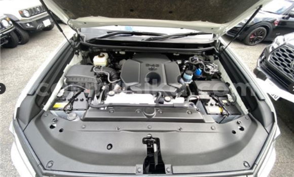 Tenga Tsaru Toyota Land Cruiser Prado Chena Mota in Beitbridge in Matabeleland South Tenga Tsaru Toyota Land Cruiser Prado Chena Mota in Beitbridge in Matabeleland South