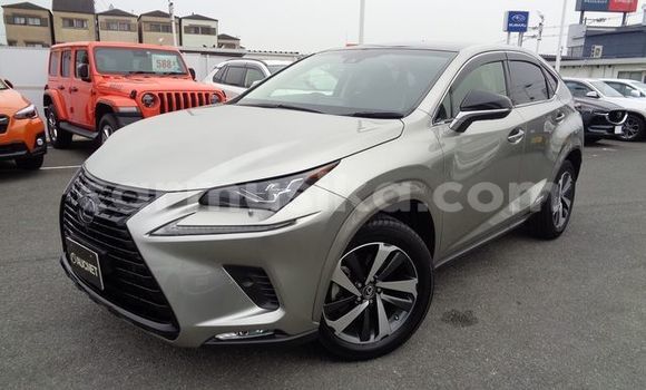 Buy Used Lexus NX Silver Car in Beitbridge in Matabeleland South Buy Used Lexus NX Silver Car in Beitbridge in Matabeleland South