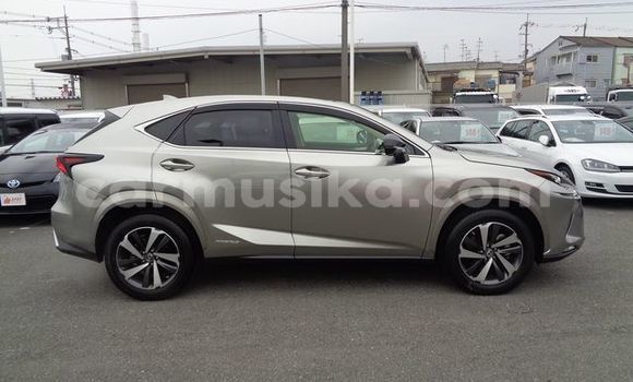 Acheter Occasion Voiture Lexus NX Gris à Beitbridge, Matabeleland South Acheter Occasion Voiture Lexus NX Gris à Beitbridge, Matabeleland South