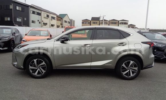 Acheter Occasion Voiture Lexus NX Gris à Beitbridge, Matabeleland South Acheter Occasion Voiture Lexus NX Gris à Beitbridge, Matabeleland South