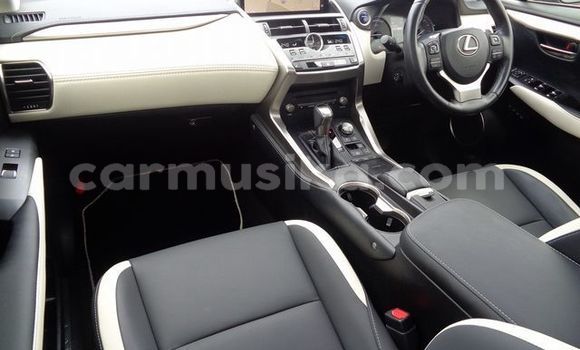 Acheter Occasion Voiture Lexus NX Gris à Beitbridge, Matabeleland South Acheter Occasion Voiture Lexus NX Gris à Beitbridge, Matabeleland South