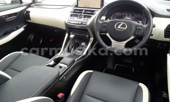 Acheter Occasion Voiture Lexus NX Gris à Beitbridge, Matabeleland South Acheter Occasion Voiture Lexus NX Gris à Beitbridge, Matabeleland South