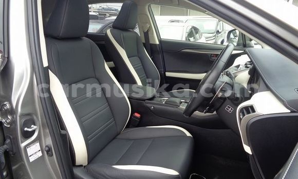 Acheter Occasion Voiture Lexus NX Gris à Beitbridge, Matabeleland South Acheter Occasion Voiture Lexus NX Gris à Beitbridge, Matabeleland South