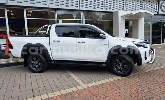 Buy Used Toyota Hilux White Car in Beitbridge in Matabeleland South Buy Used Toyota Hilux White Car in Beitbridge in Matabeleland South